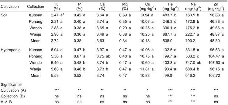 Fig. 3. Vitamin C content of shoot between soil cultivation and  NFT hydroponics in S