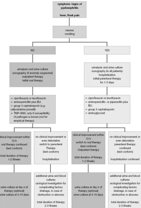 Fig.  1.  Clinical  management  of  acute  pyelonephritis  (2010  EAU  guidelines).