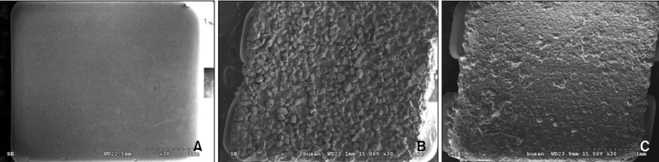 Fig 1. SEM photomicrograph of ceramic bracket base (magnification x 30). A, New bracket, silica powders uncoated;