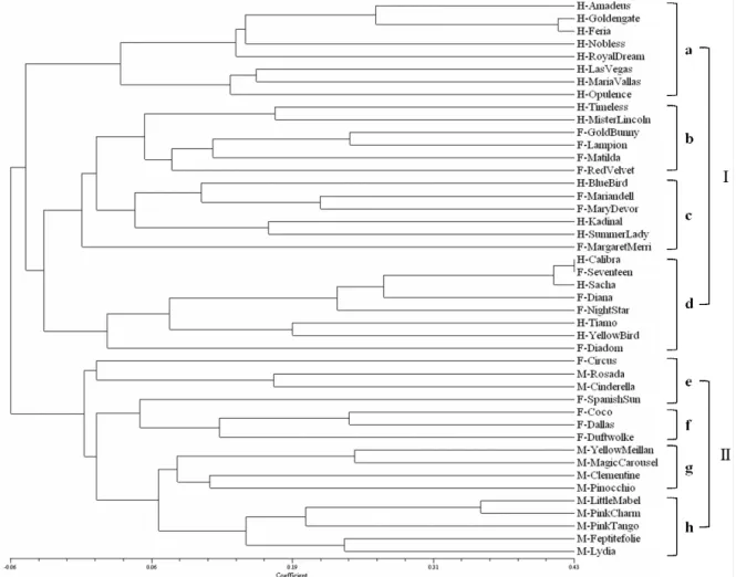 Fig. 1. Classification of the 44 rose cultivars constructed on the basis of RAPD data