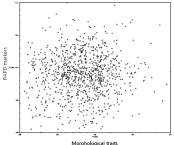 Fig. 3. Comparison between morphological and RAPD data  using Mantel test of NTSYS-pc software