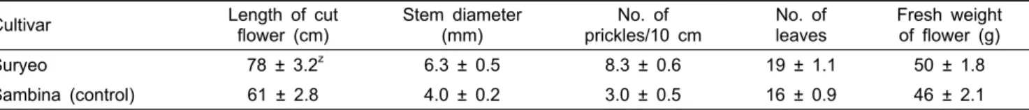 Table 3. Growth characteristics of Rosa hybrida (standard rose) cultivar ‘Suryeo’.
