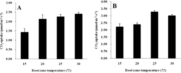 Fig. 2. Effect of root zone temperature on the CO 2  uptake of Phalaenopsis ‘92649’ at 30 (A) and 90 (B) days after treatment