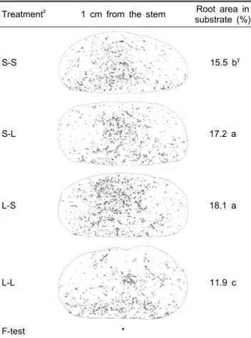 Table 3. Root distribution and area in perlite bag according  to various irrigation management methods.