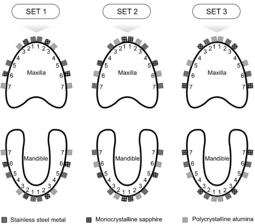 Fig 1. Three sets of the plastic individual trays on which 3 types of bracket raw materials were attached in a different order