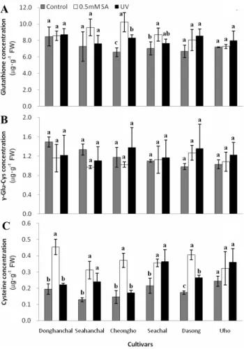 Fig. 5. Changes in the concentration of thiol compounds in  barley sprouts 1 day after treatment with 0.5 mM SA and  UV-B (8 h)