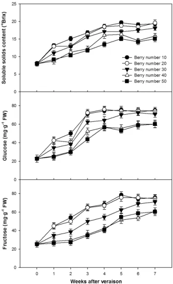 Table 1. Characteristics of shoot with girdling treatment in ‘Kyoho’ grapes. Shoot length  (cm) Leaf number (number/shoot) Leaf area(cm2) Shoot thickness(mm) 102.8 ± 4.7 19.5 ± 1.5 2,105 ± 34 7.7 ± 0.4 z Mean ± S.E