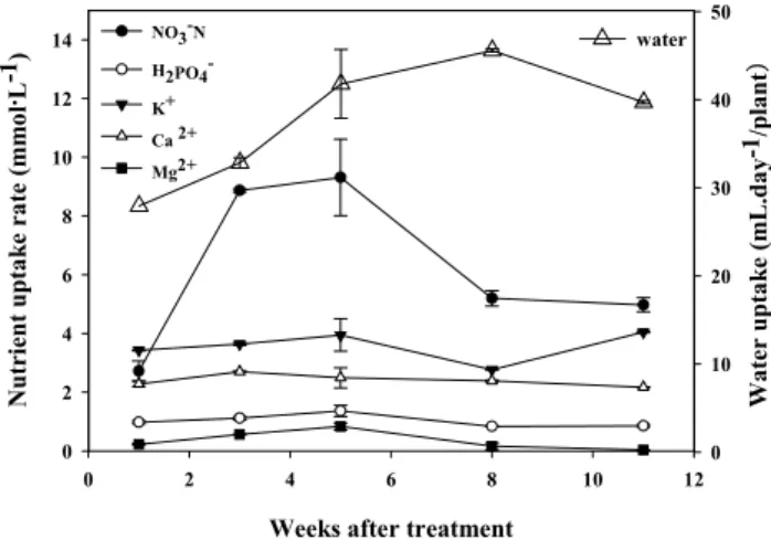 Fig. 3. Nutrient uptake rates of kalanchoe plants grown in ebb  and flow subirrigation systems at an electrical conductivity  of EC 1.6 dS･m -1  during the experimental period