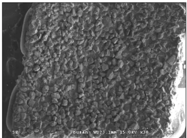 Fig 1. SEM photomicrograph of ceramic bracket base  before bonding (magnification × 30)