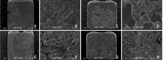 Fig 2. SEM images of the new ceramic bracket base. A, B, MISO TM  (Original magnification: 25, 250 times, re- re-spectively; scale bar: 1 mm, 100μm, respectively); C, D, Transcend TM  series 6000 (Original magnification: 25, 250, respectively; scale bar: 1