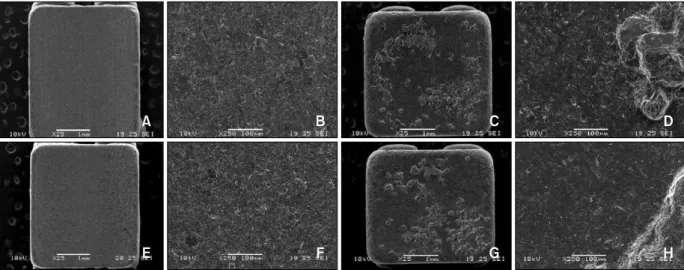 Fig 5. Comparison of SEM images of the ceramic bracket base sandblasted after being debonded by shear force using universal testing machine (A-D) and by laser (E-H)