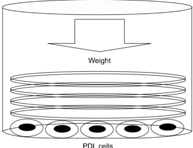 Fig 1. Method used to apply a compressive stress. 