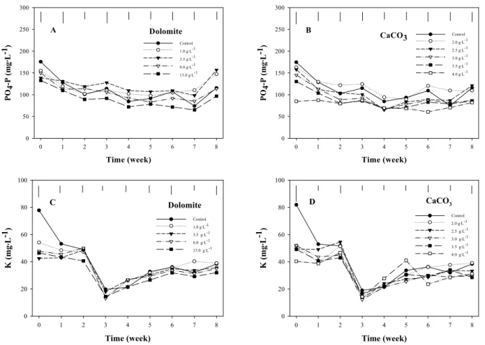 Fig. 3. Effect of pre-planting application rates of dolomite (A and C) and calcium carbonate (B and D) on the changes in phosphorus  and potasium concentrations of peat+vermiculite media (1:1, v/v) during 8 weeks after sowing of ‘Melody Yellow’ pansy