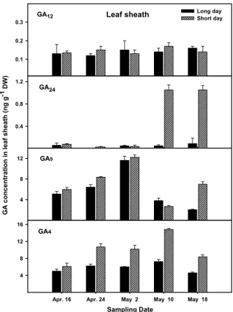 Fig. 2. Change of endogenous GA (early C-13 hydroxylation  pathway) level in leaf sheath of Allium sativum L