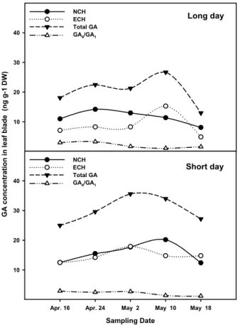 Fig. 7. Changes of NCH, ECH and total GA content in leaf  blade of Allium sativum L. cv