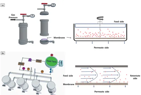 Table  1.  Commercial  OSN  membrane,  DuraMem  series,  tested  in  this  work