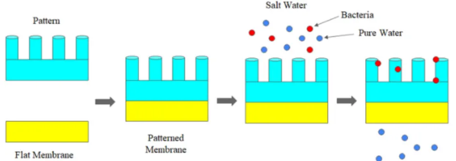 Table  1.  Summary  of  surface-patterned  antifouling  membrane