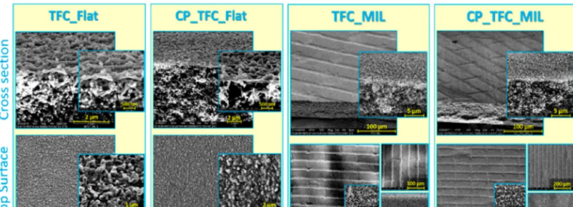 Fig.  2.  SEM  micrographs  of  top  surface  and  cross-section  morphologies  at  different  magnifications  for  flat  vs
