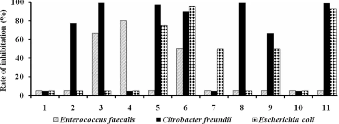 Fig. 2. Antimicrobial activities of some herbal extracts on Enterococcus faecalis,  Citrobacter freundii and Escherichia coli in 10 3 mg･L -1  concentration