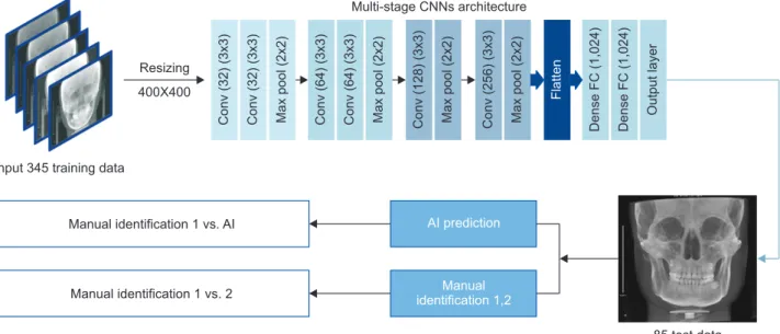 Figure 2. Schematic experimental design summary of the multi-stage convolutional neural network (CNN) model.