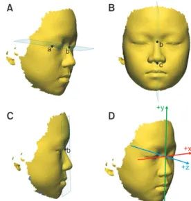 Figure 3. Establishment of reference planes for mea- mea-surement of nasal soft tissue changes using  stereopho-togrammetry after microimplant-assisted rapid palatal  expansion
