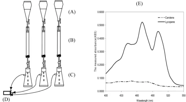 Fig. 1. A schematic diagram of the lycopene separation system: (A) sample and solvent supply system (125 mL); (B) glass columns  (2 cm OD × 13 cm L) packed with adsorbent mixture of Hyflo Super Cel and MgO magnesia (1:1 by weight); (C) collection  flasks (