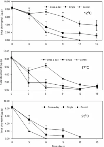 Fig. 4. Formation of lycopene in the pericarp tissue of harvested  tomatoes in storage at 12, 17, and 23℃