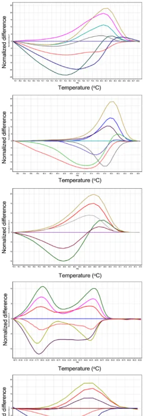 Fig. 1. Normalized graphs and difference graphs of 11 markers used for cultivar identification