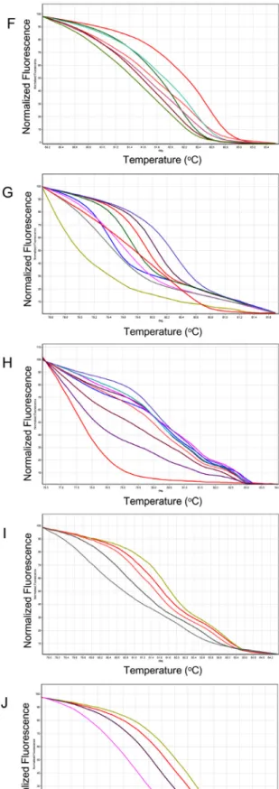 Fig. 1. Normalized graphs and difference graphs of 11 markers used for cultivar identification