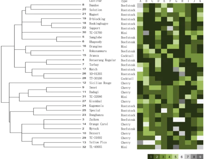 Fig. 2. Dendrogram of 32 tomato cultivars based on HRM analysis using 11 SNP markers. Numeric value was given according  to the number of normalized curve patterns in sequential order, scored from 1 to 9