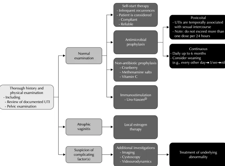 Fig. 1. Algorithm for the treatment of recurrent UTI (adapted from Asian Association of UTI &amp; STI)