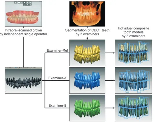 Figure 3. Study design for  evaluation of inter-examiner  reliability in construction of  individual composite tooth  models (CTMs)