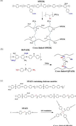 Table  2.  Comparison  of  Membrane  Properties  between  Linear  Membranes  and  Cross-linked  Membranes  Formed  by  Various  Polymers  and  Cross-linking  Methods