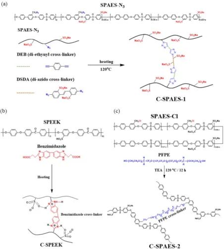 Table  3.  Comparison  of  Membrane  Properties  between  Linear  Membranes  and  Cross-linked  Membranes  Prepared  by  Different Polymers  and  Cross-linkers
