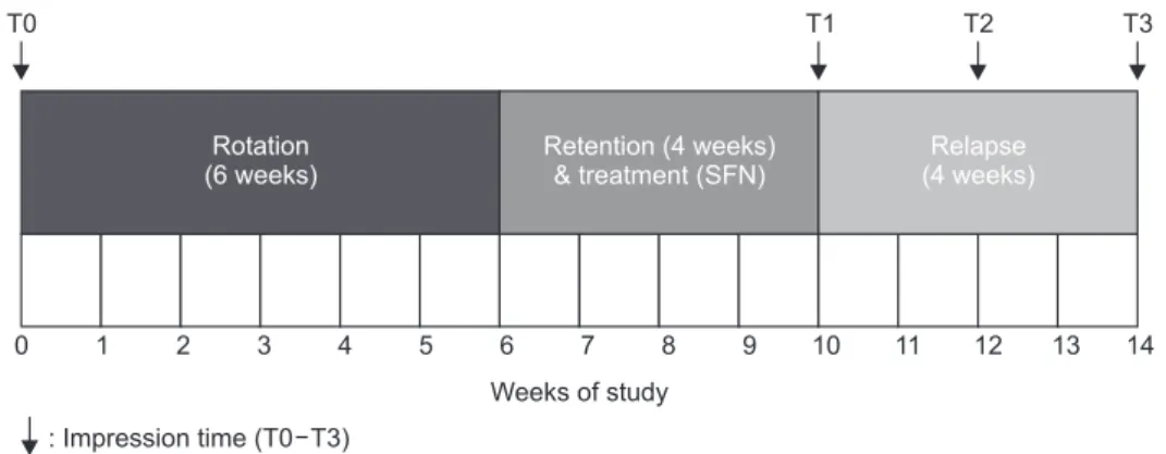 Figure 3. The extent of tooth rotation and relapse. Measurements were made using the Geomagic Control X TM  (3D SYS- SYS-TEMS, Seoul, Korea) software