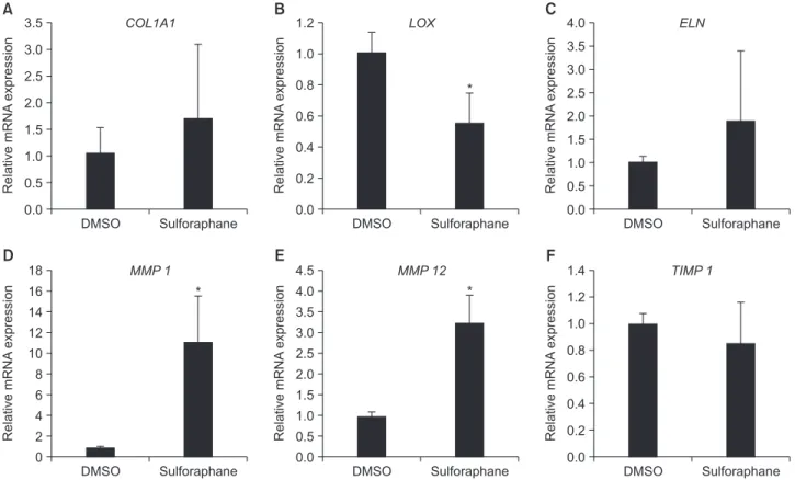 Figure 4. Relative mRNA expression of genes encoding COL1A1, LOX, ELN, MMP 1, MMP 12, and TIMP 1 in gingival tis- tis-sue of beagle dogs after sulforaphane treatment
