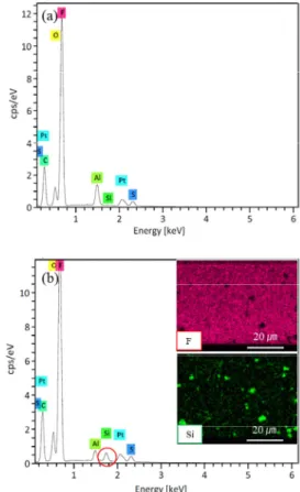 Fig.  4(a)는 fS  입자만을 관찰한 SEM  이미지로 fS는  둥근 나노입자로 몇몇 응집되어 있는 부분도 관찰되었으 나 개별 fS  나노입자는 20  ±  3.5  nm의 직경을 갖는 것 으로 관찰되었다