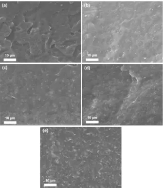 Fig.  5.  Cross-sectional  SEM  images  of  (a)  membranes  based  on  neat  SBS,  (b)  05,  (c)  10,  (d)   SBSU-15,  and  (e)  SBSU-20.