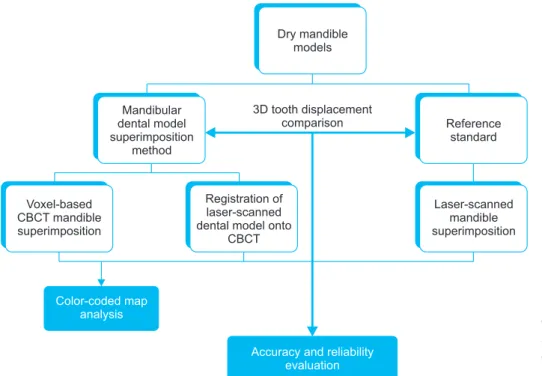 Figure 2. Flowchart of the  method and evaluation  pro-cess.