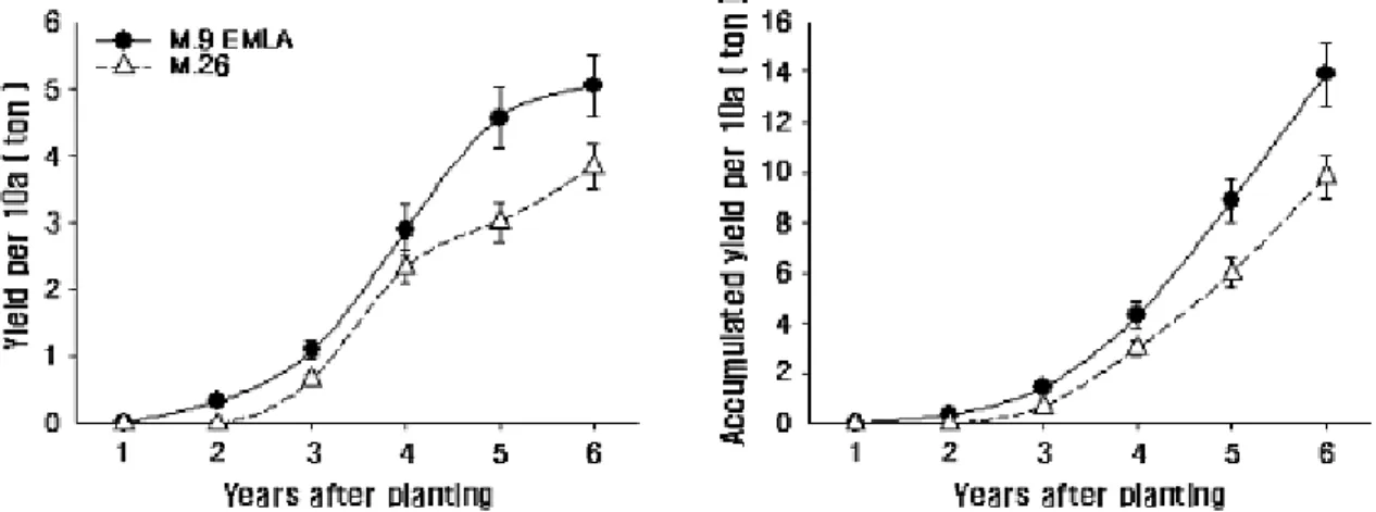 Fig. 2. Yield and accumulated yield per 10a of ‘Fuji’ apple trees under two orchard systems for 6 years