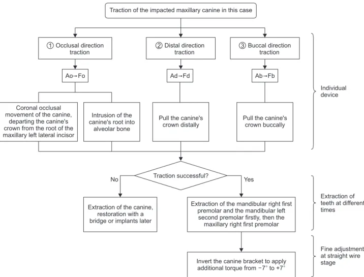 Figure 6. The proposed treatment procedure for the impacted maxillary canine in this case.