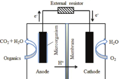 Fig.  1.  Schematic  diagram  of  microbial  fuel  cell.