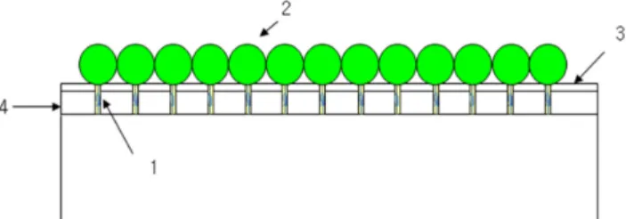 Fig. 1. Simple diagram of a deep flow technique (DFT) system  equipped using cylindrical tubes for root restriction