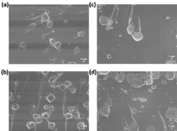 Table  1.  Surface  Areas  and  Micropore  Volumes  of  All  of  Zeolites  Calculated  from  the  N 2 Physisorption  Isotherm  at  77  K