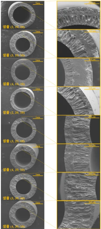Fig.  3.  Cross-section  scanning  electron  microscopy  (SEM)  images  of  the  hollow  fiber  membrane  according  to  spinning conditions