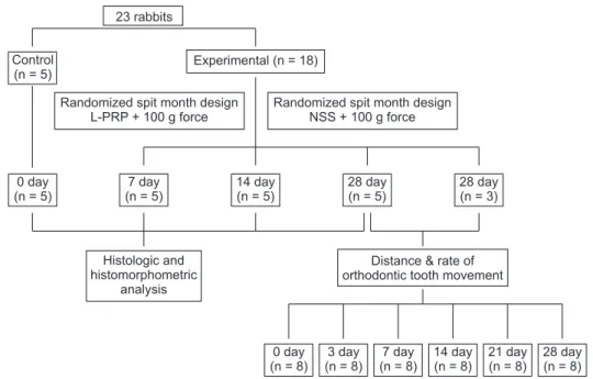Figure 1. Schematic of the  study design and timeline.