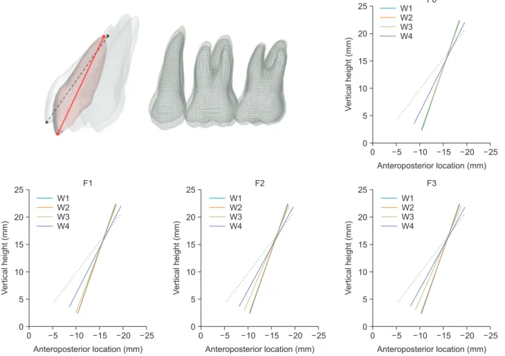Figure 3. Displacement patterns of the central incisor according to archwire stiffness at each given level of friction
