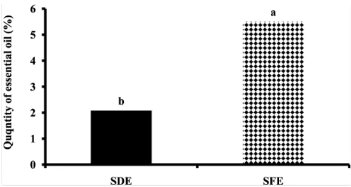 Fig. 6. The quantity of essential oil on the basis of drying methods. 