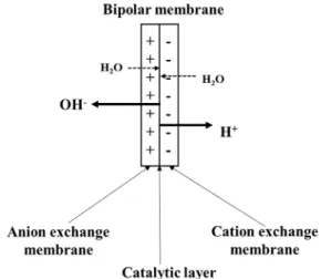 Fig.  9.  Structure  of  the  bipolar  membrane  and  water  split- split-ting[36]. 의 소모로 인한 전기 발생과 전해질의 재생산은 Fig