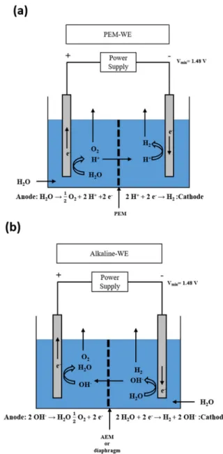 Fig.  12.  MEA  of  water  electrolysis  system[41].